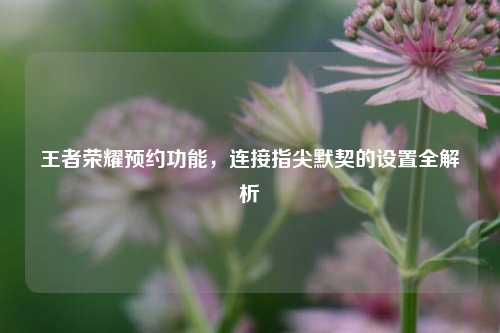 王者荣耀预约功能,连接指尖默契的设置全解析