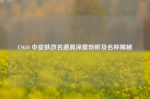 CSGO 中皮肤改名道具深度剖析及名称揭秘