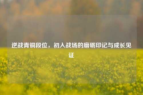 逆战青铜段位,初入战场的磨砺印记与成长见证