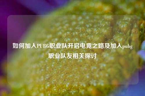 如何加入PUBG职业队开启电竞之路及加入pubg职业队友相关探讨