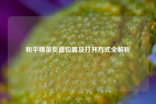 和平精英页面位置及打开方式全解析