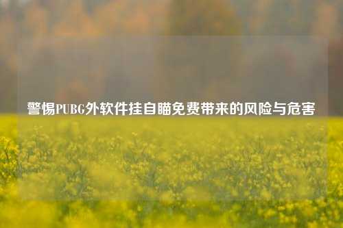 警惕PUBG外软件挂自瞄免费带来的风险与危害
