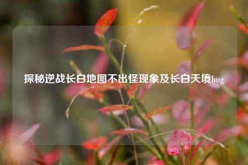 探秘逆战长白地图不出怪现象及长白天境bug