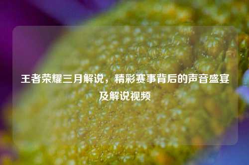 王者荣耀三月解说,精彩赛事背后的声音盛宴及解说视频