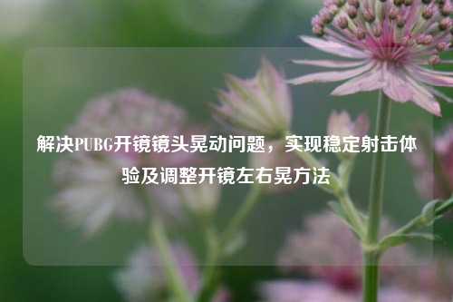 解决PUBG开镜镜头晃动问题,实现稳定射击体验及调整开镜左右晃