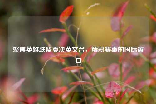 聚焦英雄联盟夏决英文台,精彩赛事的国际窗口