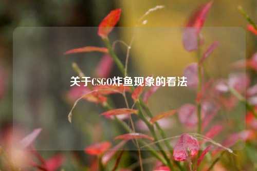 关于CSGO炸鱼现象的看法