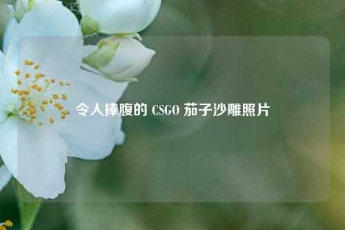 令人捧腹的 CSGO 茄子沙雕照片