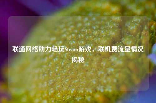 联通 助力畅玩Steam游戏,联机费流量情况揭秘