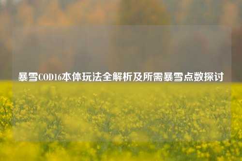 暴雪COD16本体玩法全解析及所需暴雪点数探讨