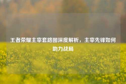 王者荣耀主宰套路图深度解析,主宰先锋如何助力战局