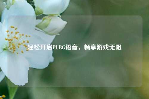 轻松开启PUBG语音,畅享游戏无阻