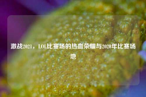 激战2021,LOL比赛场的热血荣耀与2020年比赛场地