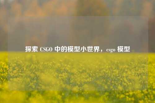 探索 CSGO 中的模型小世界,csgo 模型
