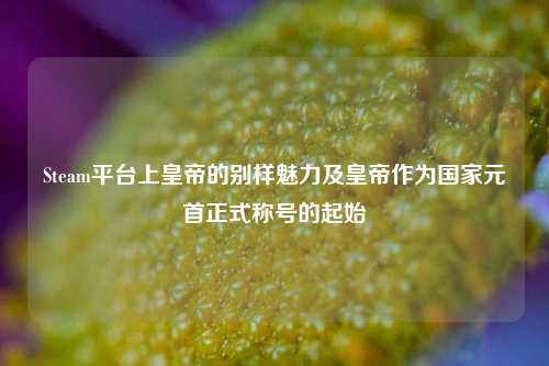 Steam平台上皇帝的别样魅力及皇帝作为国家元首正式称号的起始