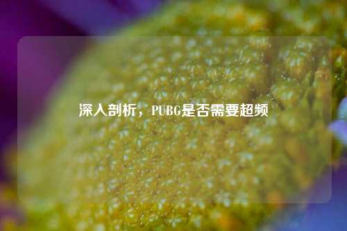 深入剖析,PUBG是否需要超频