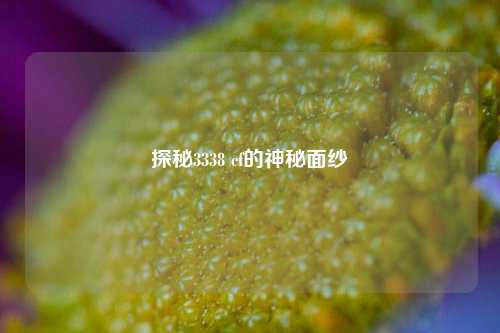 探秘3338 cf的神秘面纱