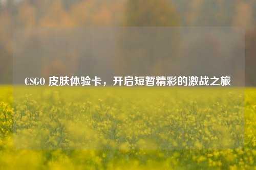 CSGO 皮肤体验卡,开启短暂精彩的激战之旅