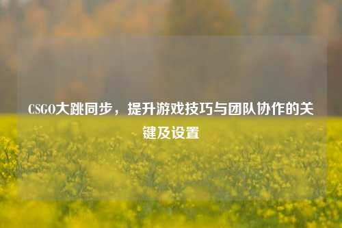 CSGO大跳同步,提升游戏技巧与团队协作的关键及设置