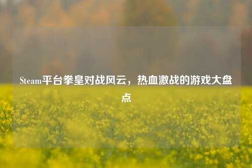 Steam平台拳皇对战风云,热血激战的游戏大盘点