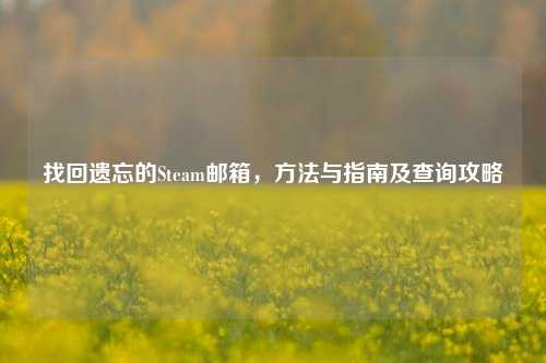 找回遗忘的Steam邮箱, 与指南及查询攻略
