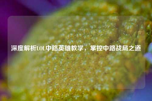 深度解析LOL中路英雄教学,掌控中路战局之道