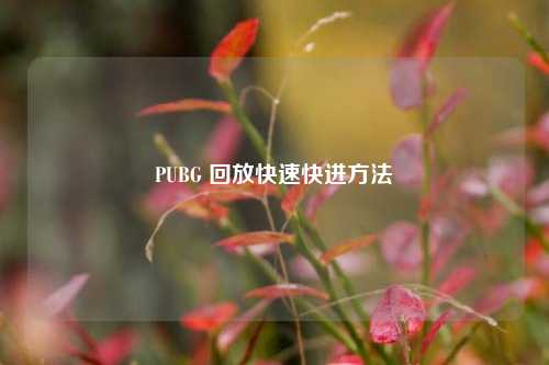 PUBG 回放快速快进