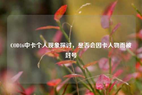 COD16中卡个人现象探讨,是否会因卡人物而被封号