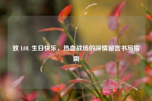 致 LOL 生日快乐,热血战场的深情留言书写指南