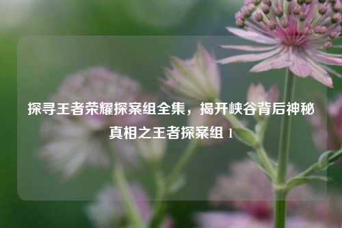 探寻王者荣耀探案组全集,揭开峡谷背后神秘真相之王者探案组 1