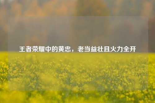 王者荣耀中的黄忠,老当益壮且火力全开