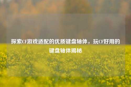 探索CF游戏适配的优质键盘轴体,玩CF好用的键盘轴体揭秘