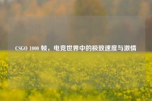 CSGO 1000 帧,电竞世界中的极致速度与