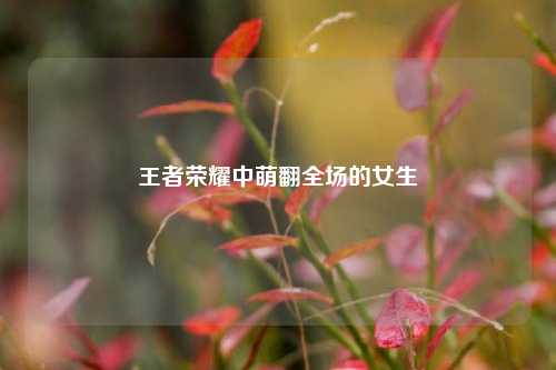 王者荣耀中萌翻全场的女生