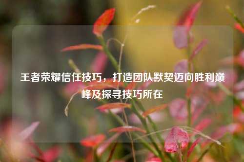 王者荣耀信任技巧,打造团队默契迈向胜利巅峰及探寻技巧所在