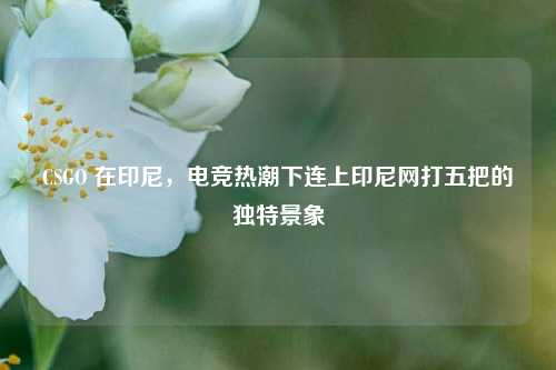 CSGO 在印尼,电竞热潮下连上印尼网打五把的独特景象