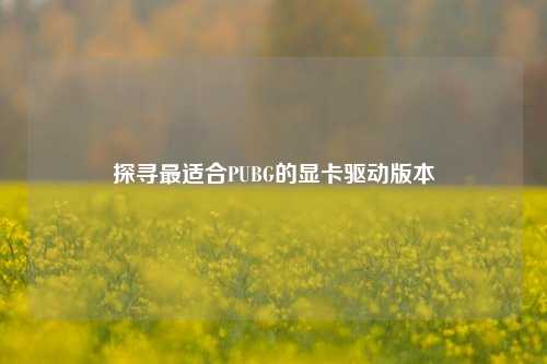 探寻最适合PUBG的显卡驱动版本
