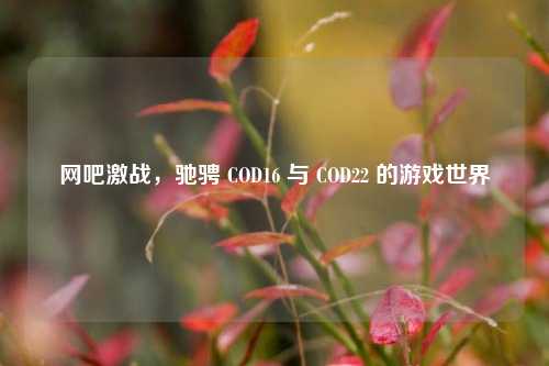 网吧激战,驰骋 COD16 与 COD22 的游戏世界