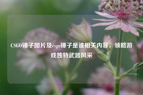 CSGO锤子图片及csgo锤子是谁相关内容,领略游戏独特武器风采
