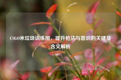CSGO米垃圾训练图,提升枪法与意识的关键及含义解析