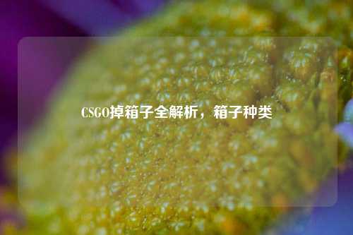 CSGO掉箱子全解析,箱子种类