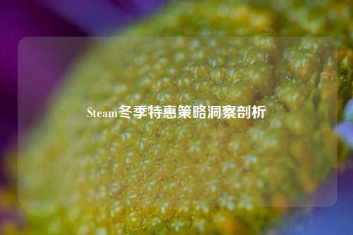 Steam冬季特惠策略洞察剖析