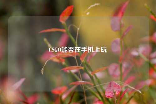 CSGO能否在手机上玩