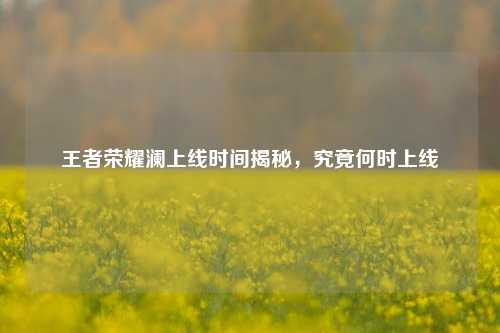 王者荣耀澜上线时间揭秘,究竟何时上线