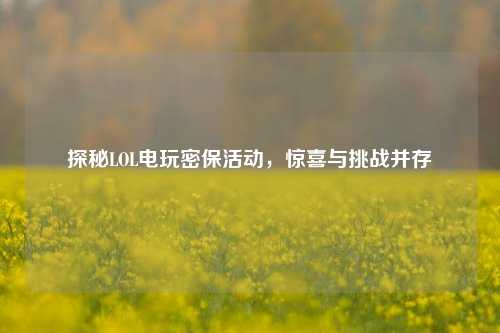 探秘LOL电玩密保活动,惊喜与挑战并存