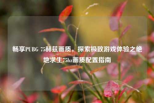 畅享PUBG 75赫兹画质,探索极致游戏体验之绝地求生75hz画质配置指南