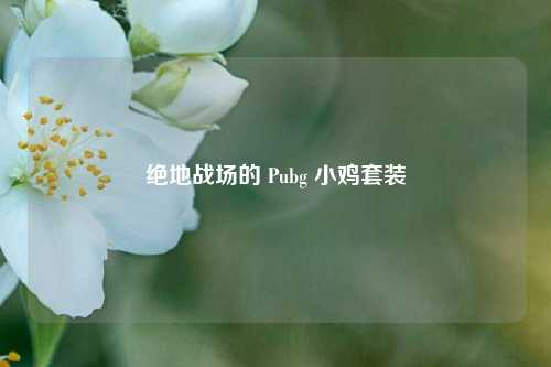 绝地战场的 Pubg 小鸡套装