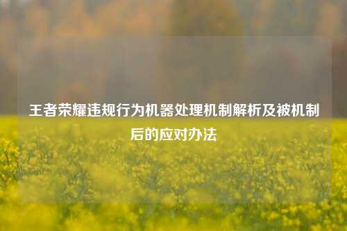 王者荣耀违规行为机器处理机制解析及被机制后的应对办法