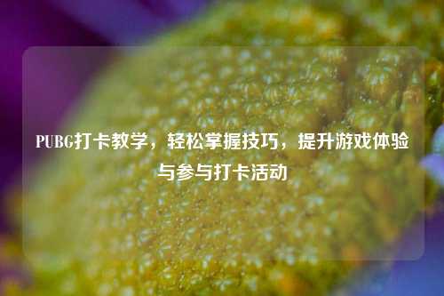 PUBG打卡教学,轻松掌握技巧,提升游戏体验与参与打卡活动