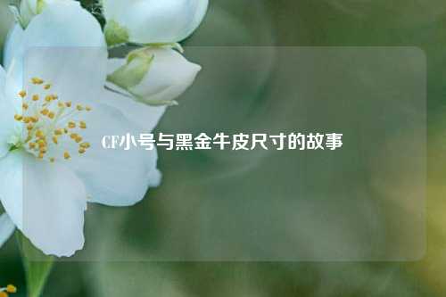 CF小号与黑金牛皮尺寸的故事